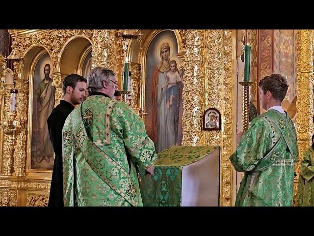 День Святого Духа. Божественная литургия. Ziua Sfântului Duh. Sfânta Liturghie