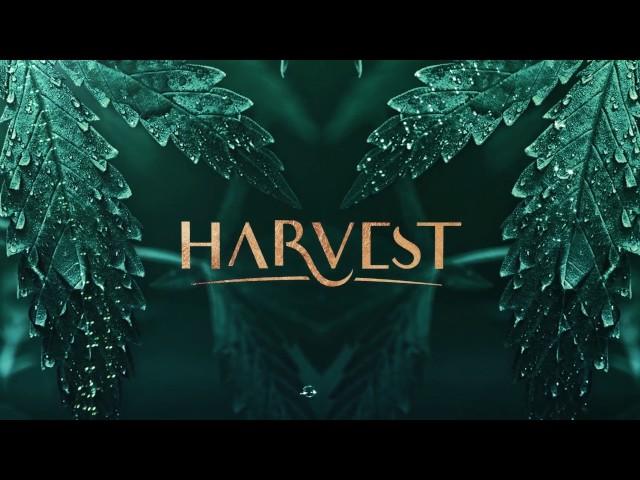 [New Series] Harvest