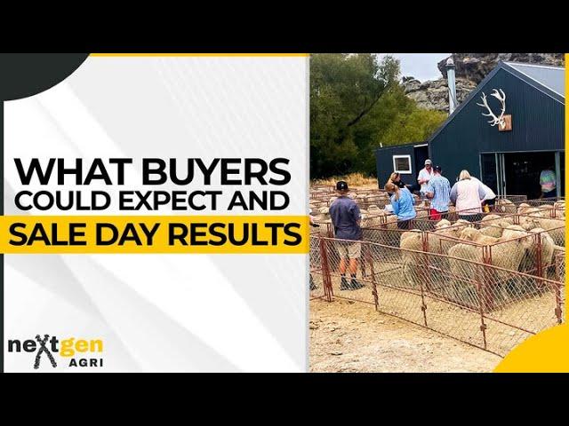 What Buyers Could Expect And Sale Day Results | Fine Wool