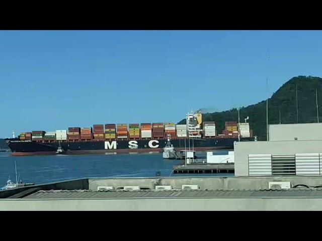 MSC Sofia Celeste - Porto de Itajaí - Portonave