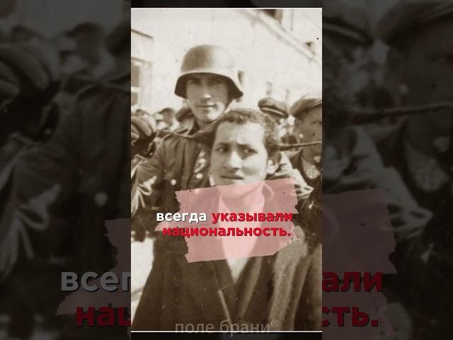 Как немцы вычисляли евреев среди населения СССР? #shorts