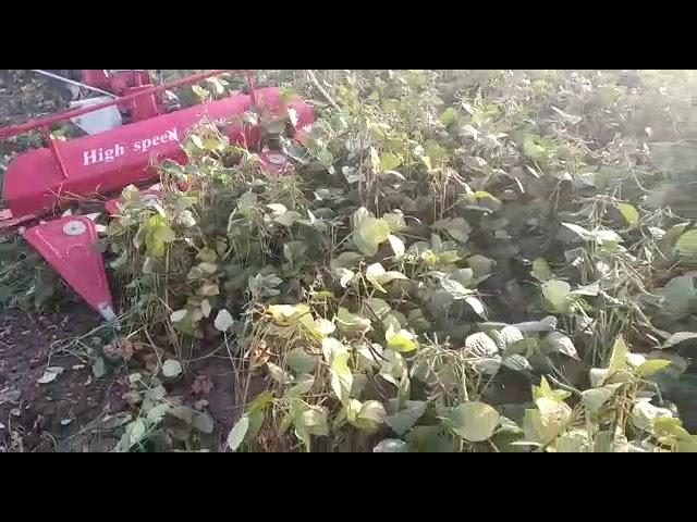 MOONG HARVESTING MACHINE | MOONG CUTTING REAPER |  9981817652  ,