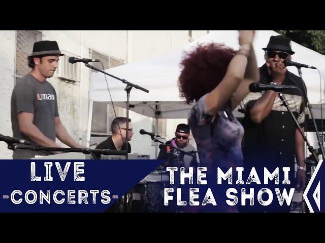 Tomas Diaz - Miami Flea Show