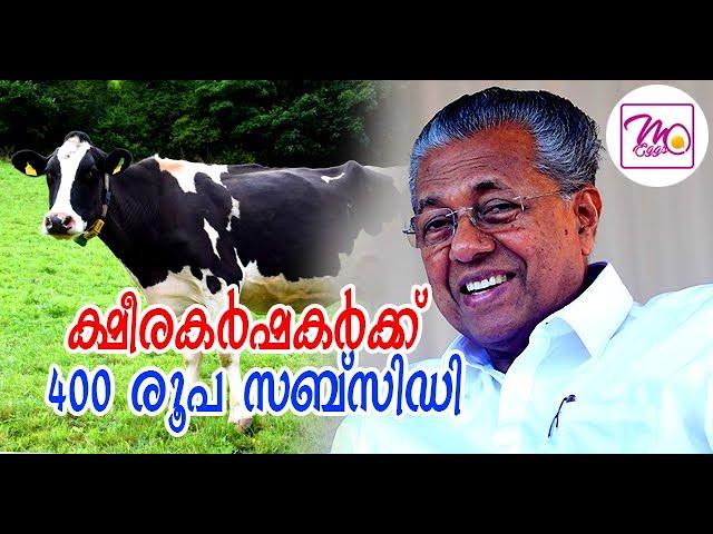 ക്ഷീരകർഷകർക്ക് 400 രൂപ സബ്സിഡി | metaculture