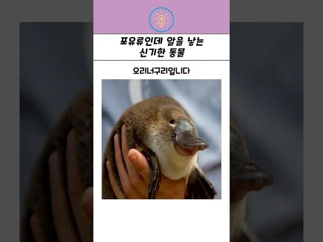 학계를 놀라게 했던 포유류의 등장