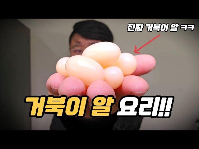 진짜 거북이 알 훔쳐서 까르보나라 만들어 먹기 ㅋㅋㅋㅋㅋㅋ 최고 절정의 맛?! (feat.붉은귀거북)
