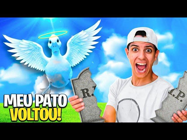 MEU PATO DE ESTIMAÇÃO REVIVEU | O PATETO VOLTOU