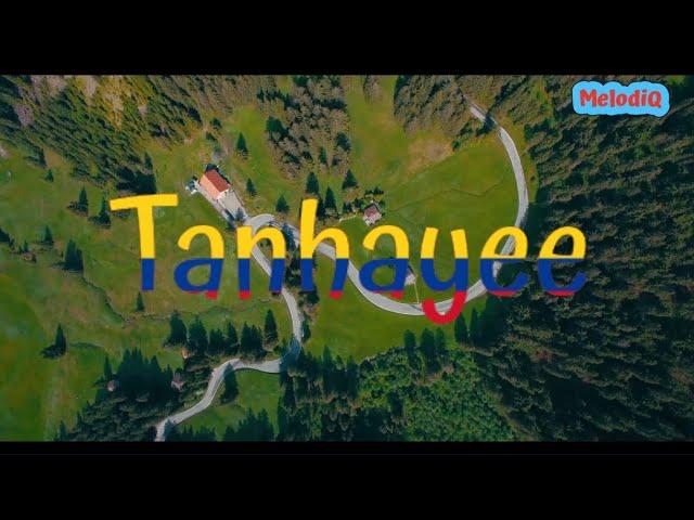 Tanhayee || Mind Refreshing Hindi Song || 2024