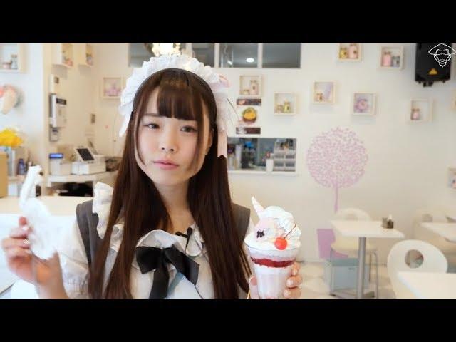 A Maid Cafe in Tokyo's anime epicentre: Akiba Zettai Ryoiki