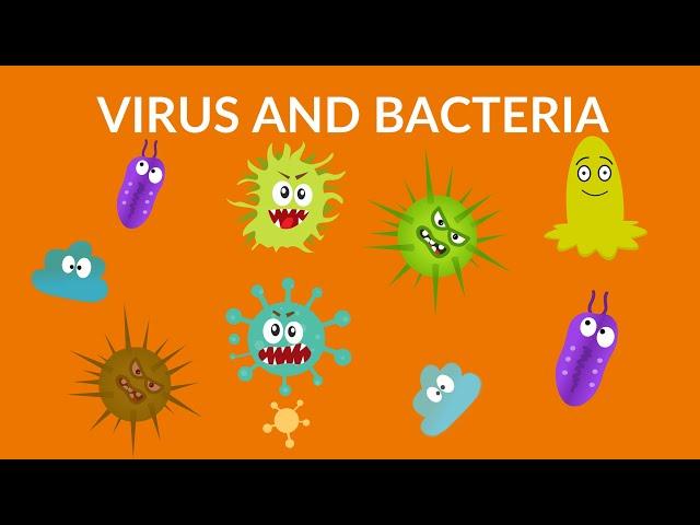 Virus and Bacteria || video for kids