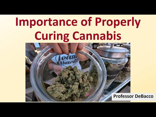 Importance of Properly Curing Cannabis