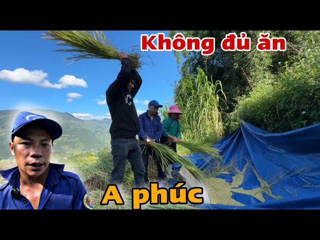 NGHÈO THƯỜNG GẶP CÁI ÉO LE KHỔ HƠN CHỮ KHỔ A PHÚC ĐỘI THỢ LÀM NHÀ 6 MẸ CON