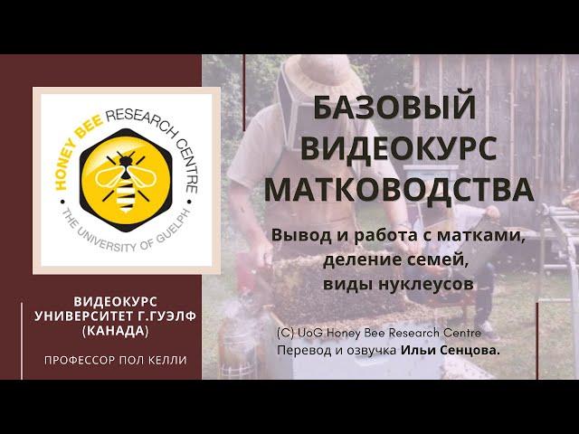 БАЗОВЫЙ ВИДЕОКУРС МАТКОВОДСТВА: вывод и работа с матками, деление семей, виды нуклеусов