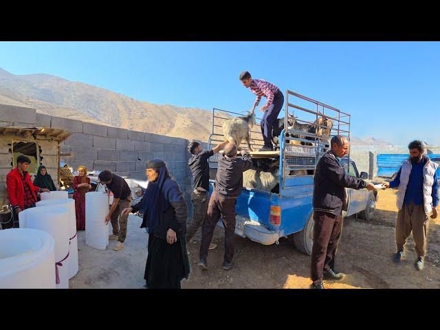 Amir and Family: Selling Goats for Their Dream Home. Teacher Hassan‍