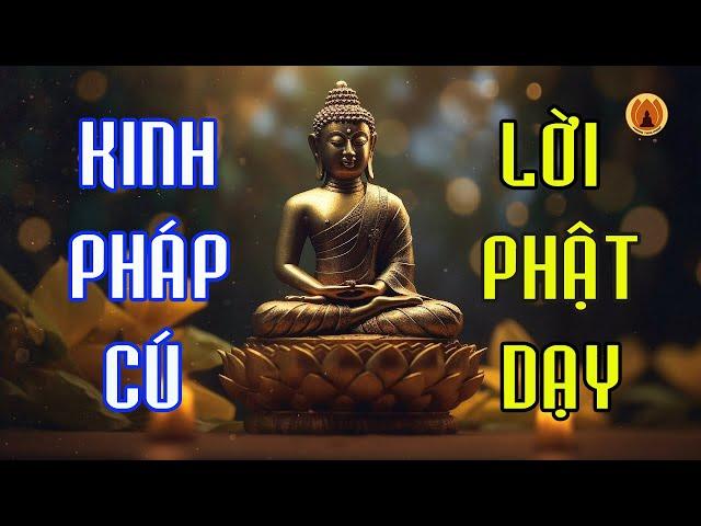 Kinh Pháp Cú - 423 Lời Vàng Phật Dạy || Thanh Tịnh Pháp