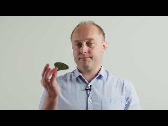 Скребок гуаша в прикладной кинезиологии | Григорий Крутов