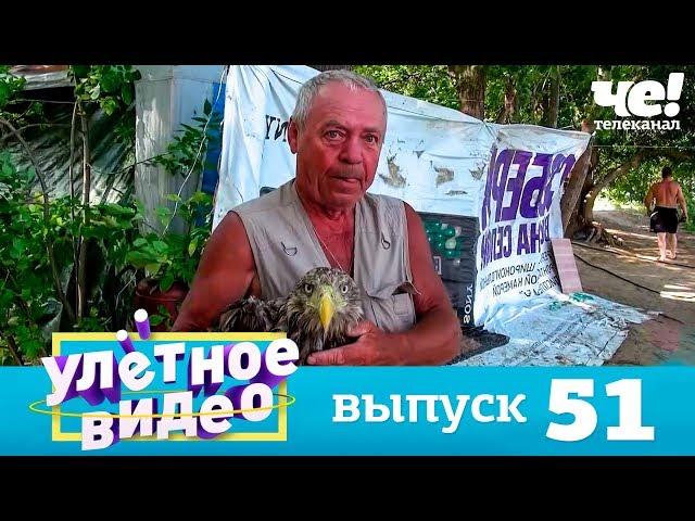 Улетное видео | Выпуск 51
