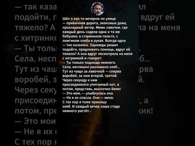 #жизненныеистории #историиизжизни #истории #рассказы #лукаозёрный #поэзия