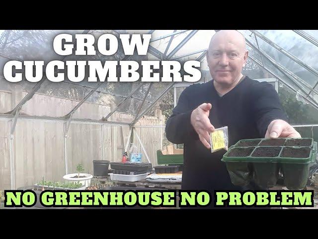 Grow Cucumbers Outdoors