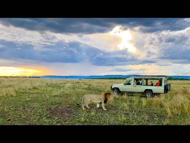 African safari with Wild Wings Safaris