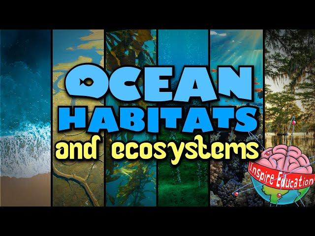 Ocean Habitats & Ecosystems