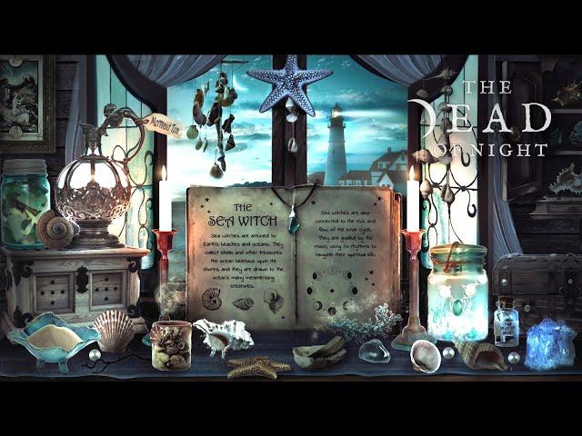 Sea Magic Ambience ⭐‍️ | An Evening of Sea Spells & Rituals | The Dead of Night Book of Shadows