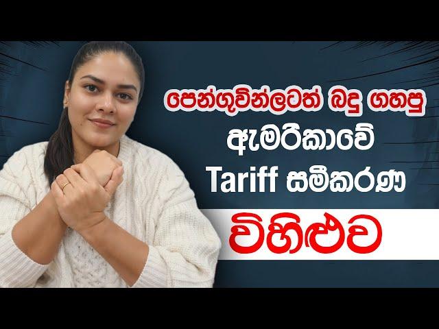  Solving USA's New Tariff Formula | Explained Simply! 