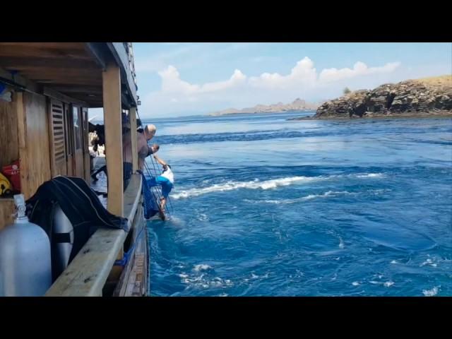 Komodo Currents at Batu Bolong