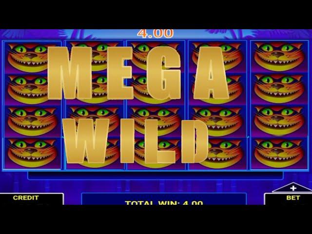 TWEETY BIRDS CASINO MRGA WILD  WE ARE BACK ️ شدو رواحكم للجديد