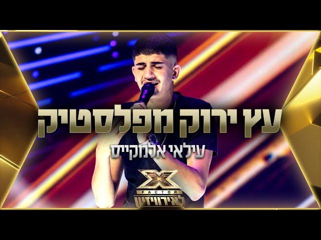 עילאי אלמקייס - עץ ירוק מפלסטיק |  אקס פקטור לאירוויזיון 2022