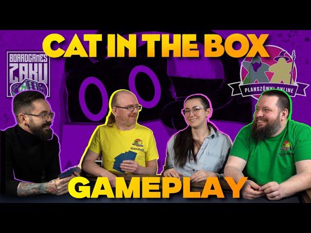 Cat in The Box + Planszówki Online - Rozgrywka | GAMEPLAY