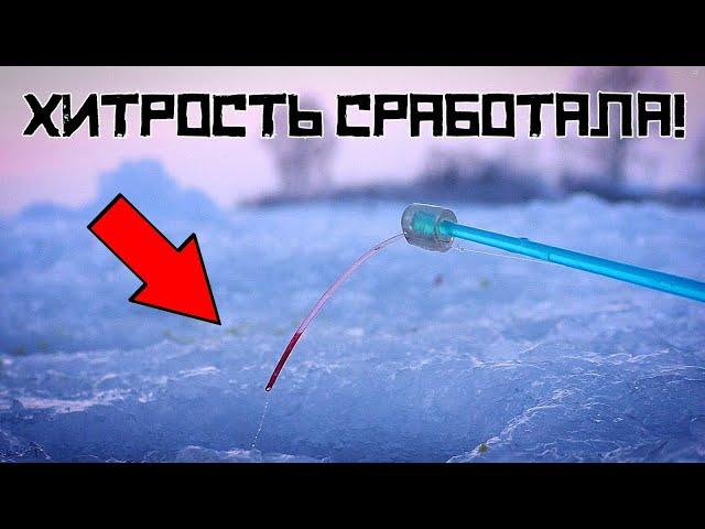 СДЕЛАЛ ЭТО и НАЧАЛОСЬ! Простая ХИТРОСТЬ СПАСЛА рыбалку в январе!