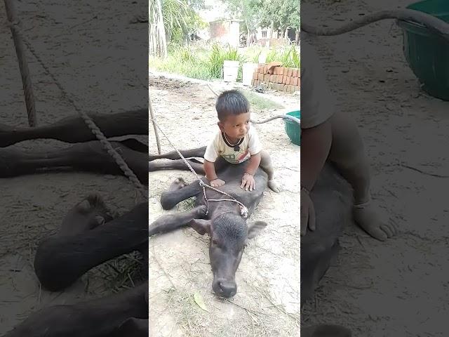 Arsh #patel #cute #baby #please #subscribe