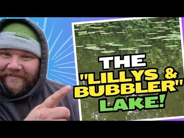 The Lillypad and Bubblers lake | Danny's Angling Blog | Carp Fishing Adventure