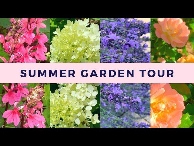 Summer Garden Tour and Dead Pinky Winky Hydrangea Stems