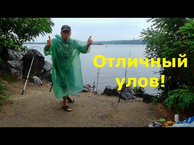 Рыбалка на Днепре. Отличный улов!