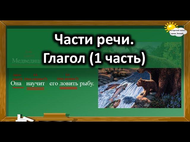 Русский язык. Части речи. Глагол (1 часть)