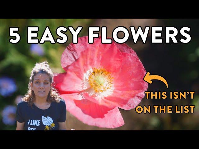 The 5 EASIEST Flower Seeds You Can Start for Zones 9 & 10