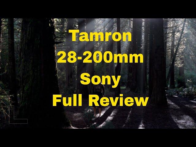 Tamron 28-200mm for Sony full review with the Sony a9, a7iii & a6400