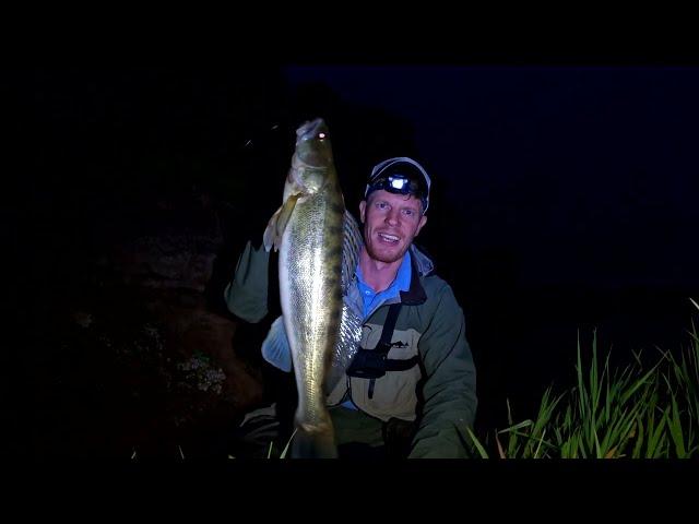 so IT WAS POSSIBLE! Pelagic WALLEYE from THE SHORE in RUSSIA (English subtitles)