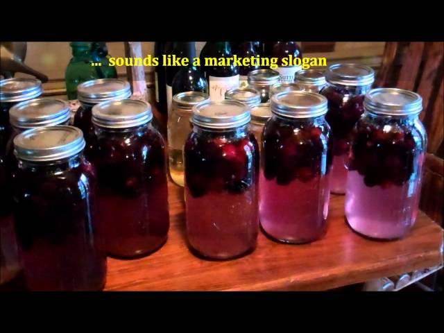  How To Make Easy Homemade Wine  Making Blackberry Wine