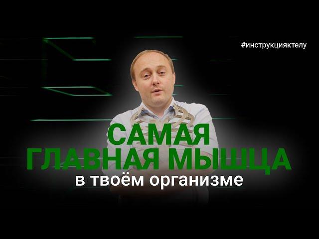 ДИАФРАГМА. Что это за мышца и почему она во всём виновата. #инструкцияктелу