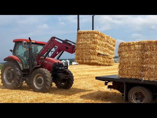 Making 5000 Bales of HORSE STRAW!!!  (Baling Straw in PA)