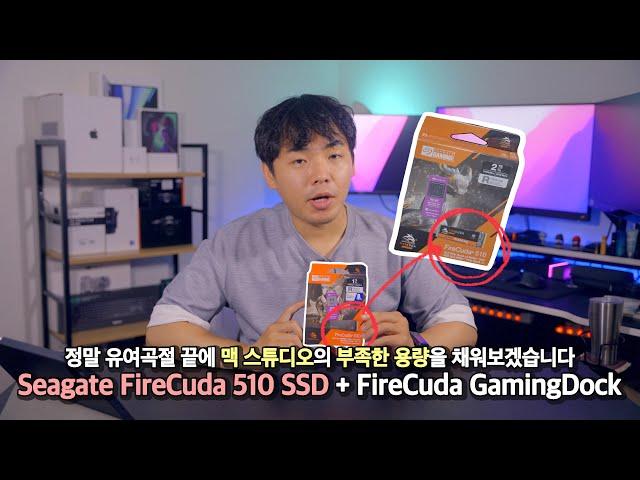 난 그냥 맥 스튜디오 용량을 늘리고 싶었는데 이렇게까지 고생해야하나 | Seagate FireCuda 510 SSD + FireCuda Gaming Dock