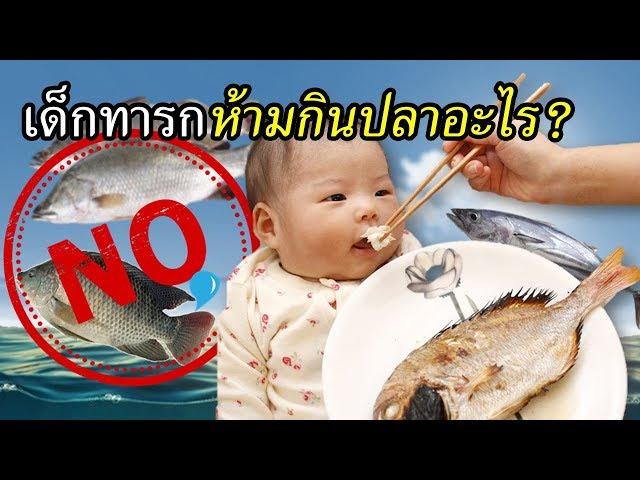 อาหารเด็กทารก : เด็กทารกห้ามกินปลาอะไร? | อาหารทารก | เด็กทารก Everything