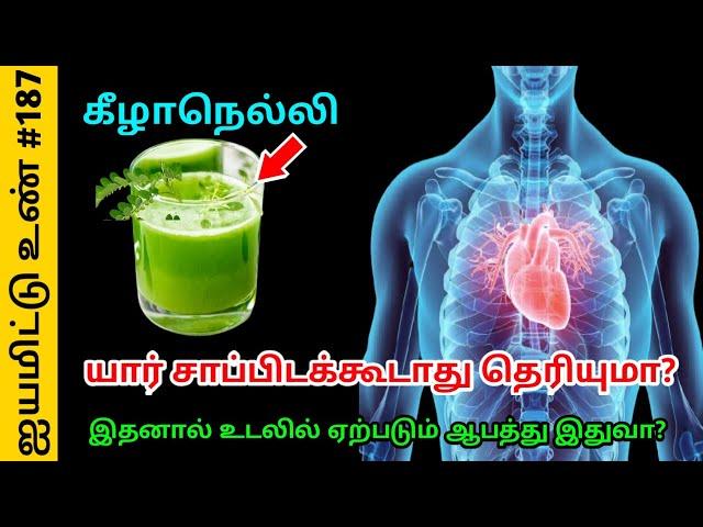 கீழாநெல்லி யார் சாப்பிடக்கூடாது ஏன் தெரியுமா ? இதனால் உடலில் ஏற்படும் ஆபத்து இதுவா ?