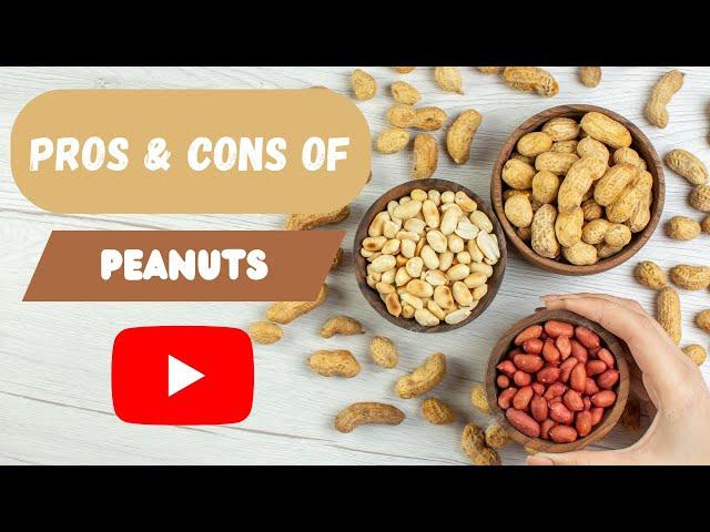 Pros and Cons of Peanuts | Explained | Advantages | Disadvantages | Benefits | English Subtitles