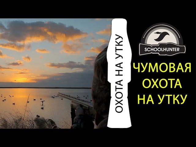 Чумовая охота на утку