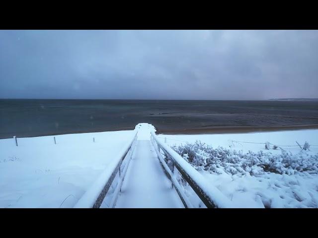 Cape Cod Beach in Winter Stock Footage #204a