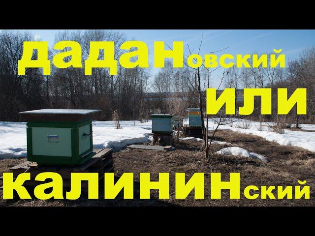 КАКОЙ УЛЕЙ ЛУЧШЕ?